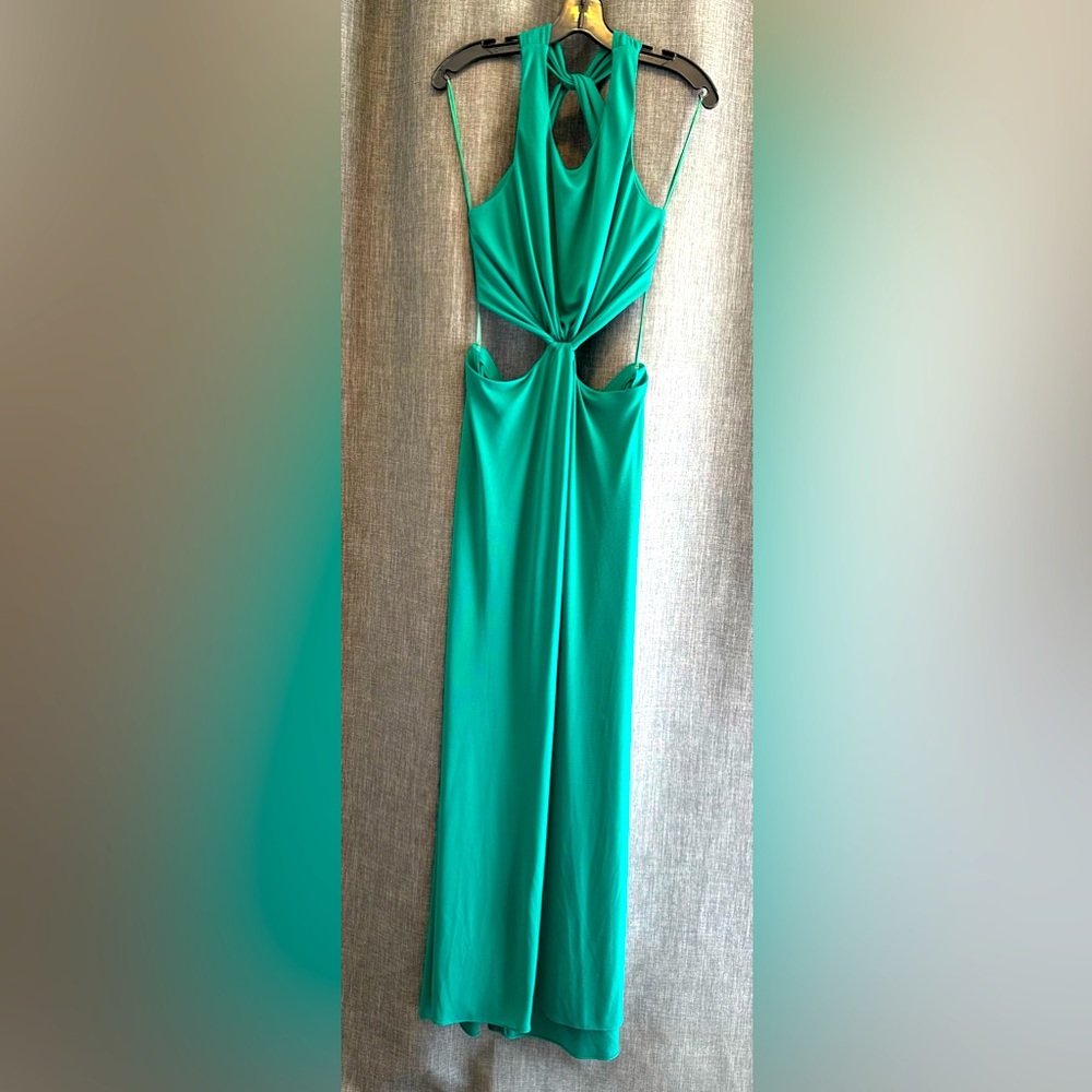 BCBG Maxazria Gown/Dress